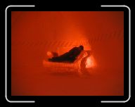 0212_0301 Sverige 178 * 800 x 600 * (21KB)